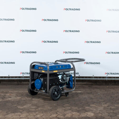 Benzine generator - Ford FGT9250E