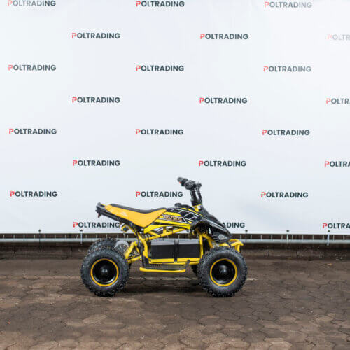Elektrische mini quad 800W - Ultra Motorcross