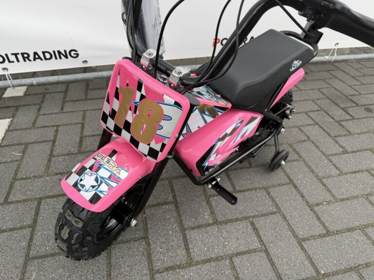 Monkey Bike 250W (24V) UltraMotocross